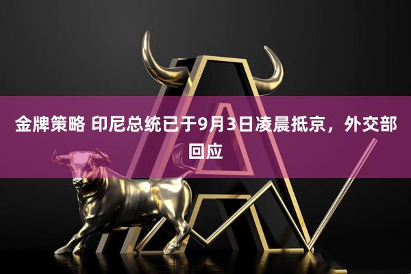 金牌策略 印尼总统已于9月3日凌晨抵京，外交部回应