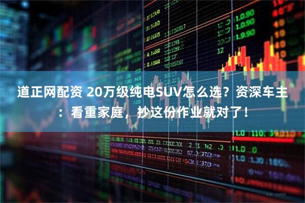 道正网配资 20万级纯电SUV怎么选？资深车主：看重家庭，抄这份作业就对了！